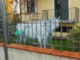 Clicca qui per vedere l'immagine in dettaglio